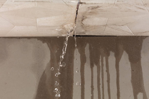 Professional Structural Drying technician working in Edgerton, MO